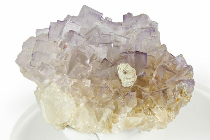Light Purple Fluorite Crystal Cluster - Chiapas, Mexico #355952
